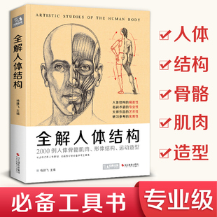 书豪 全解人体结构艺用解剖学工具书素描书籍美术绘画 2020新书