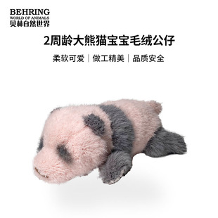 贝林自然世界两周龄大熊猫宝宝博物馆文创礼