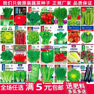 播阳台盆栽小白菜生菜草莓番茄种籽孑 各种蔬菜种子菜籽种大全四季