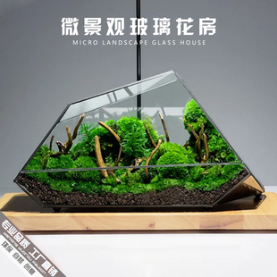 苔藓微景观玻璃生态瓶闷养桌面迷你小盆景造景蒲面青苔雨林水陆缸