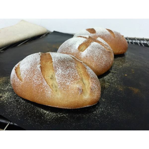 全麦乳烙面包新品 法式 粗粮面包 面包手工制作零食面包代餐