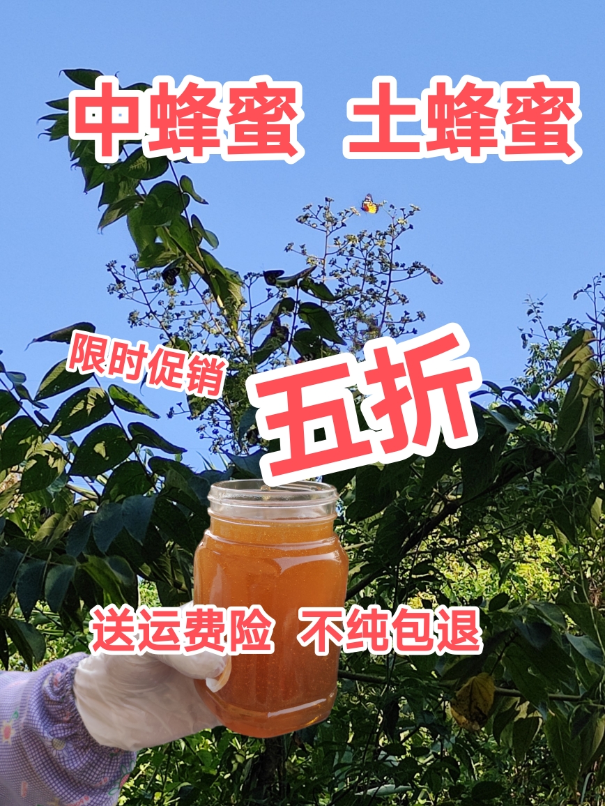 广东冬蜜蜂蜜中蜂蜜土蜂蜜百花蜜农家蜜纯天然零添加美容保健