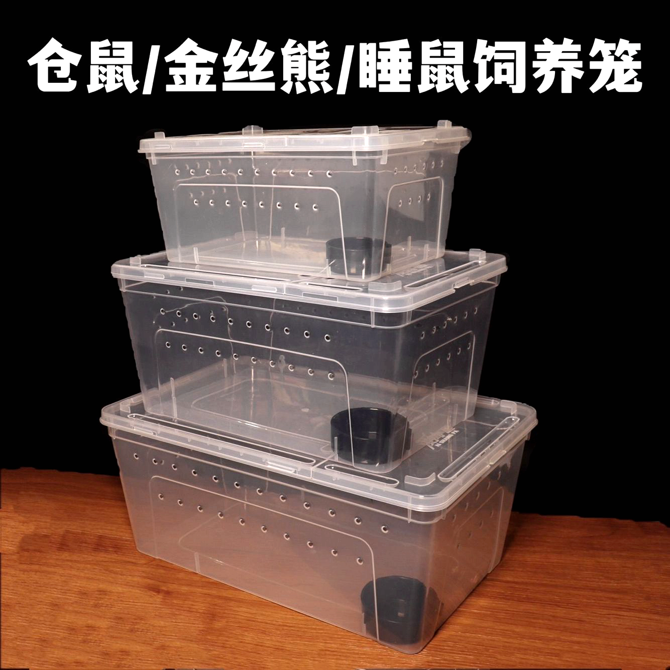 西班牙睡鼠饲养盒透明仓鼠金丝熊小窝用品花枝鼠养殖箱睡鼠外带笼
