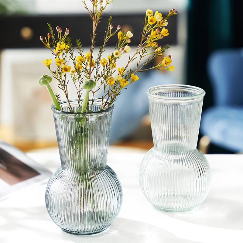 普德拉格花瓶透明玻璃水培花瓶客厅餐桌创意摆件 网红北欧宜家同款