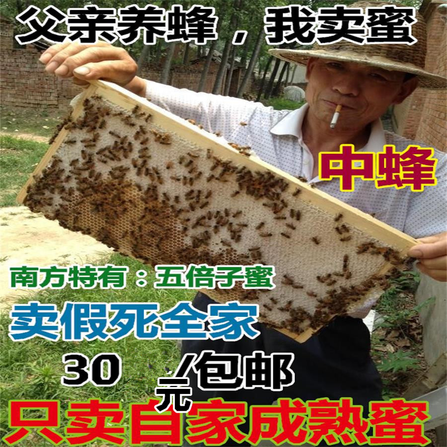 农家自产自销野生蜂蜜 百花蜜天然原蜜 五倍子蜜 结晶蜜 土蜂蜜