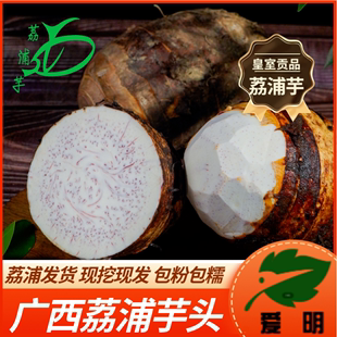 广西荔浦芋头原产地直发新鲜现挖现发香芋正宗特产槟榔芋紫藤毛芋