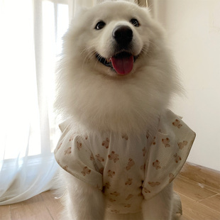 图案裙子 宠物衣服大中小型犬萨摩耶哈士奇小熊心心款 狗狗衣服新款