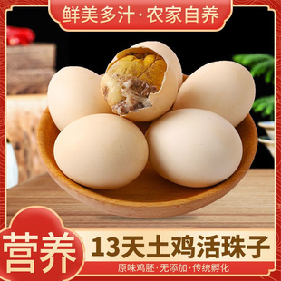 包邮 13天活珠子新鲜原味五香香辣可选喜蛋钢化蛋毛鸡蛋熟鸡胚蛋