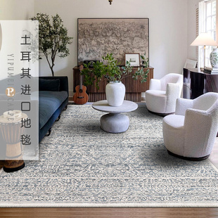 轻奢地毯客厅卧室茶几沙发床边毯 土耳其进口现代美式 易普美家新款