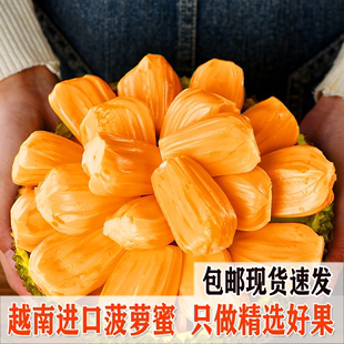 正宗越南进口菠萝蜜一整个红肉黄肉波罗蜜当季 新鲜水果整箱 包邮