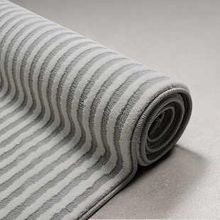 地垫 2023新款 客厅地毯轻奢高级家用加厚免洗可擦现代高端简约意式