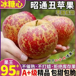 孕妇水果红富士整箱大凉山 云南昭通丑苹果冰糖心10斤新鲜苹果当季