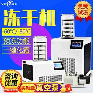 10A冻干机实验室冻干设备食品果蔬真空冷冻干燥机器 上海YTLG