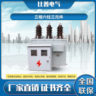 高压电力计量箱三相四线带电缆不锈钢表箱 10户外铁壳干式 JLSZW