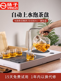 全自动电茶炉茶饮机 扬子电陶炉煮茶器煮茶炉自动上水泡茶机一体式