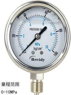 自来水压力表4分充油抗震高精度测压净水器测试仪水压检测表