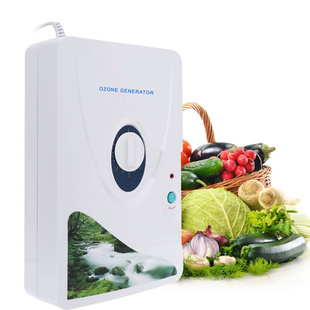 110V空气净化器 小家电活氧机水果蔬菜清洗机臭氧发生器220V