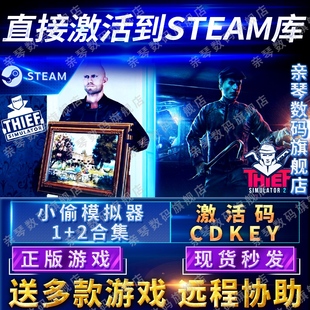 2电脑PC中文游戏盗贼窃贼模拟器 2合集激活码 CDKEY国区全球区Thief Simulator 小偷模拟器1 Steam正版