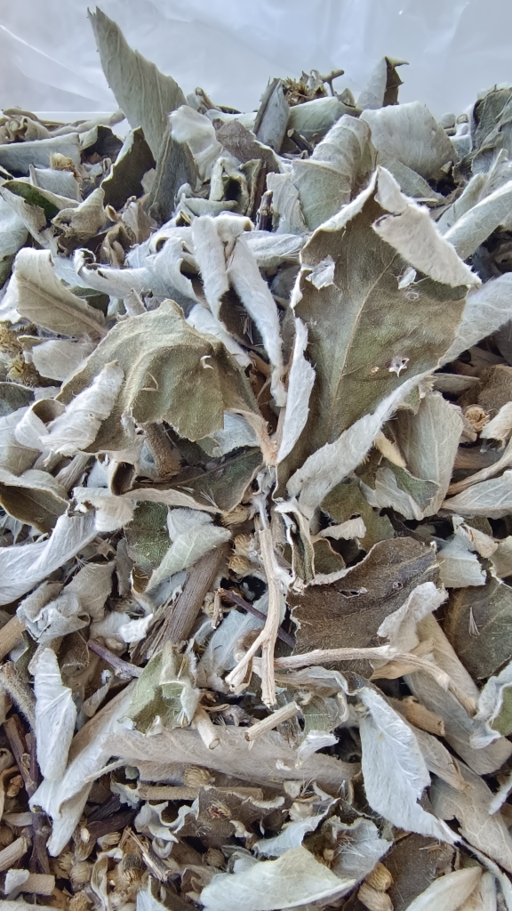 云南中药材羊耳菊干货 白面风根 天然野生原生态 白牛胆根