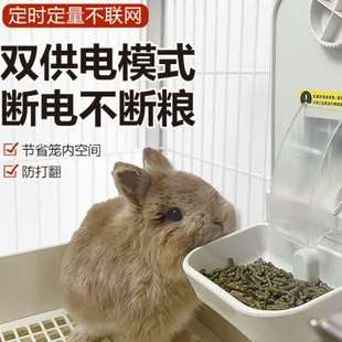 兔子自动定时喂食器宠物智能定量猫咪狗狗兔粮悬挂自动喂食投食器