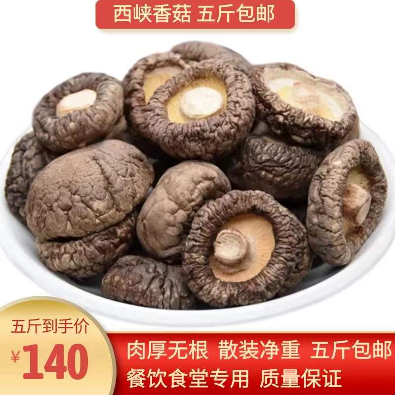 无根椴木香菇全干质量保证 包邮 河南西峡香菇干货特级香菇冬菇五斤