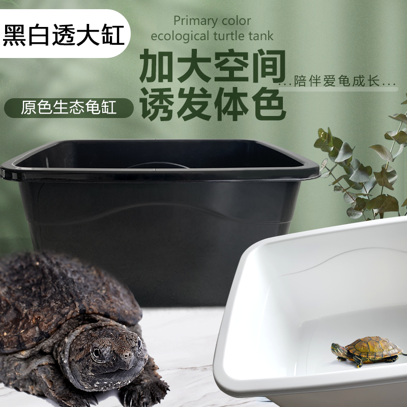 爬宠冬眠保暖箱饲养盒蛋龟饲养箱乌龟苗孵化隔离白黑色乌龟发色盒
