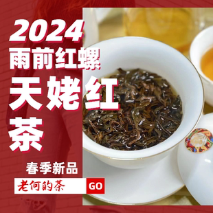 天姥红茶 雨前红螺 2024