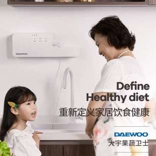 韩国大宇果蔬卫士家用洗菜机净化全自动水果食材消毒清洗器