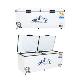 定制 包邮 冰柜冷柜大冰柜冷藏单温商用大容量小冰柜冷柜家 速冻卧式