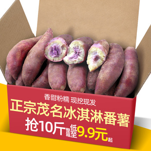 紫薯新鲜板栗红薯番薯蜜薯山芋 正宗广东茂名现挖冰淇淋地瓜10斤装
