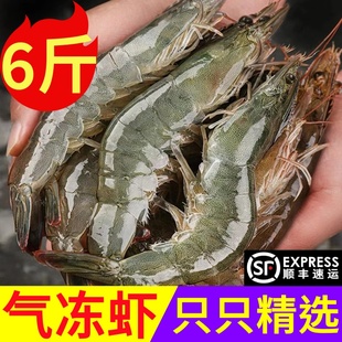 包邮 6斤大虾鲜活超大青岛海鲜水产新鲜速冻基围虾海捕白虾鲜虾类