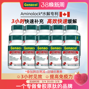 新品 加拿大进口GENACOL三小时高效姜黄素乳香高吸收10瓶装
