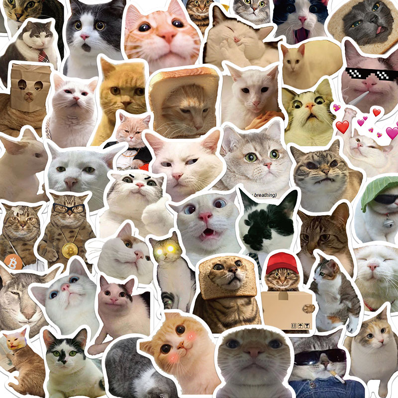 饰 50张猫咪搞笑贴纸日常笔记本电脑手机壳ipad可爱行李箱贴画装