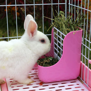 兔子专用草架可固定内置防翻防咬防浪费草架食盆二合一兔子草盆