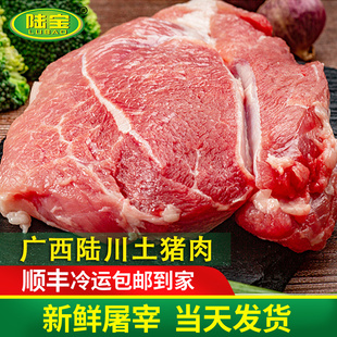 广西陆川土猪前腿瘦肉本地现杀农家散养新鲜土猪肉500g 陆宝