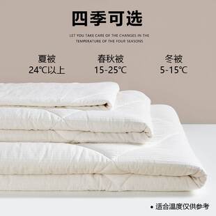 新疆一级优质长绒棉被冬被纯棉花春秋被子被芯薄全棉空调被夏凉被