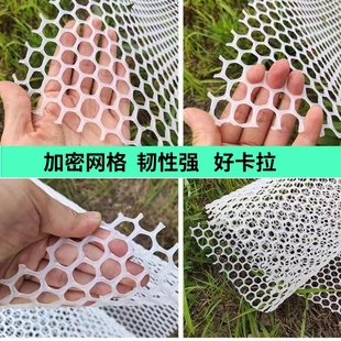 加厚塑料网超厚特厚塑料围栏网鸡粪养殖鸡鸭鹅兔猫狗宠物脚垫