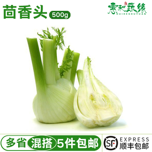 蔬菜 新鲜茴香头香料菜西餐配料调料用品球茎味浓500g茴香菜