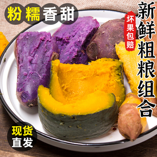 新鲜蔬菜地瓜板栗味小南瓜小红薯 包邮 贝贝瓜紫薯红薯组合混合5斤