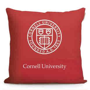 University纪念品定制校徽留学生礼品抱枕 美国康奈尔大学Cornell