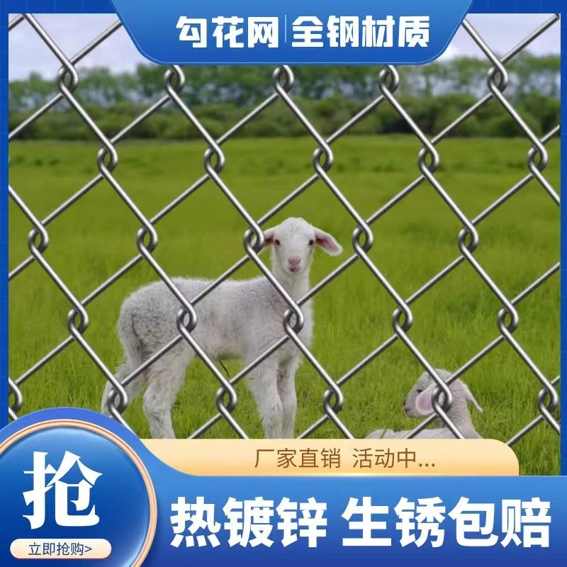 镀锌钢丝网勾花护栏网安全隔离防护网牛羊圈地网