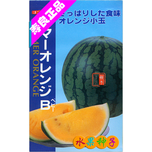 西瓜种子籽夏皇小玉2K花皮橙黄瓤肉迷你沙甜日本盆栽农水果孑