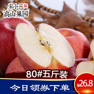 山东当季 特产烟台栖霞红富士 5斤 新鲜苹果水果不打蜡带皮吃80