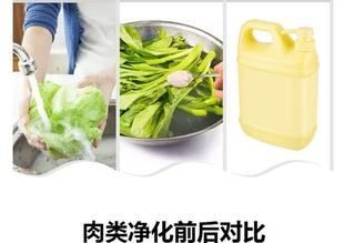 果蔬清洗机去农残洗菜机蔬菜蔬果去农药残留机器洗水果神器洗菜