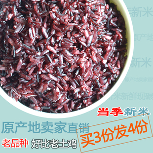 紫米墨江原产地血糯米梯田新米云南包粽子米农家老品种紫糯米500g
