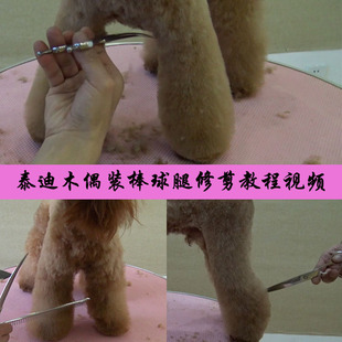 棒球腿后腿修剪视频教学MODPET 宠物狗美容造型教程视频泰迪木偶装