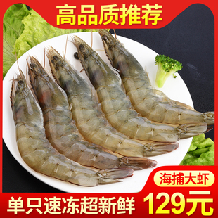 海虾 包邮 特大野生青岛海捕鲜活大虾单冻对虾海鲜对虾水产顺丰