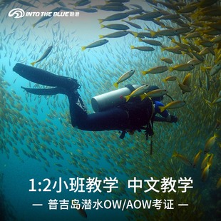 AOW中文考证巴东卡伦免费接送中文教练 酷潜泰国普吉岛潜水课程OW