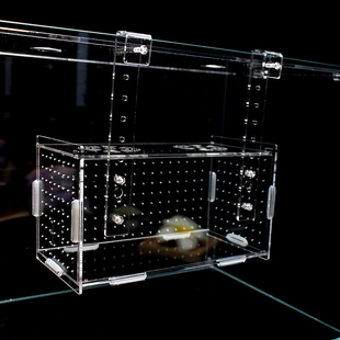 包邮 亚克力鱼缸隔离盒水族繁殖盒孔雀鱼水晶虾金波子产房多格带盖