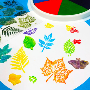 树叶形状模板儿童绘画印章透明硅胶diy学生拓印工具枫叶模型画材